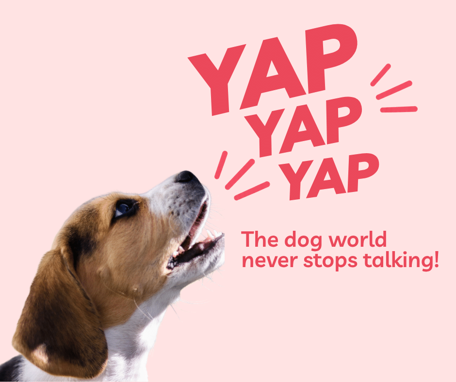 The Yappily email list