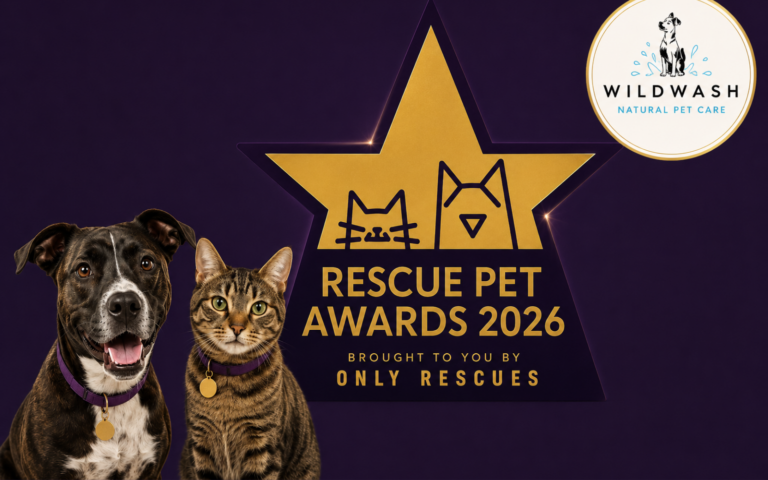 Rescue Pet Awards 2026 logo with WildWash announced as a supporting sponsor.