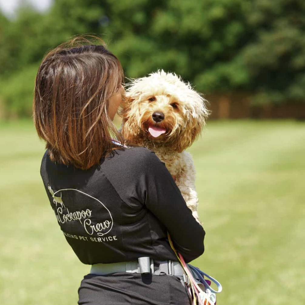 Yappily Dog Walker- Cockapoo Crew